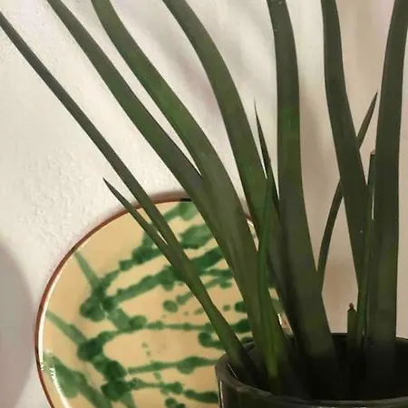 Casa Tranquila Barrada Σπίτι διακοπών Alcoutim