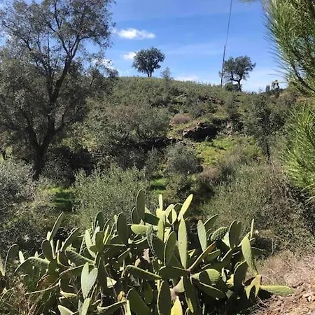 Дом отдыха Casa Tranquila Barrada