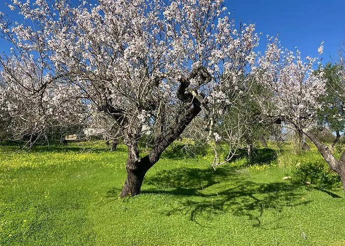 Casa Tranquila Barrada