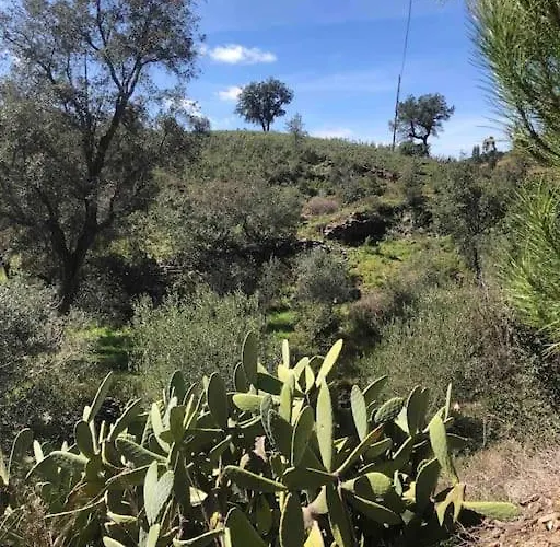 Hébergement de vacances Casa Tranquila Barrada